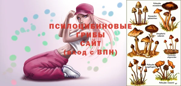 не бодяженный Лагань