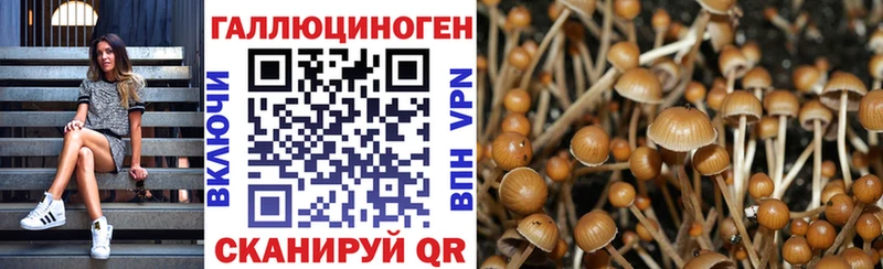 площадка как зайти  Иваново  Галлюциногенные грибы MAGIC MUSHROOMS  MEGA ссылки 